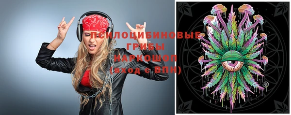 молекула духа Верхний Тагил