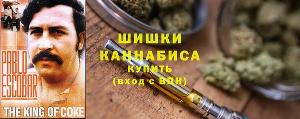 молекула духа Верхний Тагил