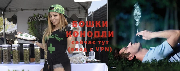 молекула духа Верхний Тагил